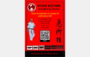 Stage Kyusho Waza France