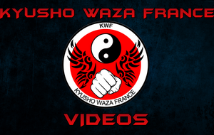 6 nouvelles vidéos en ligne