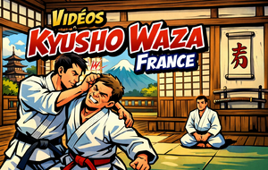 6 nouvelles vidéos en ligne