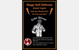 Stage Self Défense David Tayeb à Ay / Moselle
