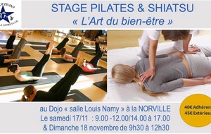 Stage Shiatsu Norville