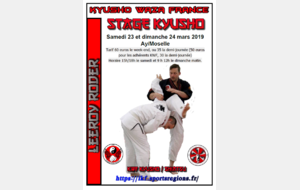 Stage Kyusho Leeroy Rôder 