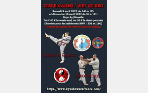Stage Viet Vo Dao / Kyusho