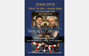Stage d'été Nihon Tai Jitsu Kyusho