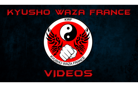 6 nouvelles vidéos en ligne