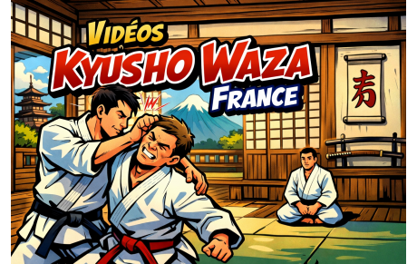 6 nouvelles vidéos en ligne