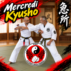 Mercredi Kyusho